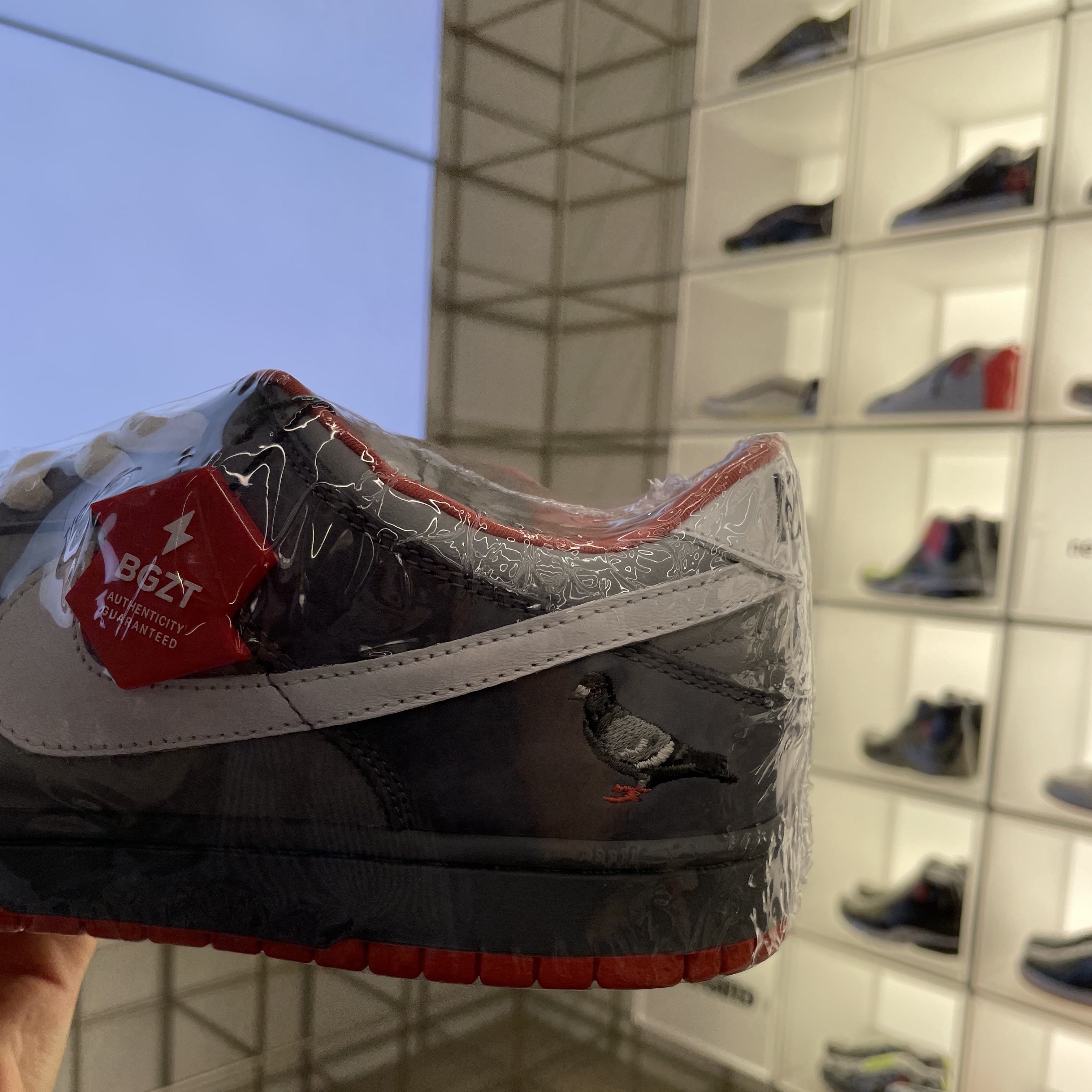 Nike x Staple Dunk SB Low NYC Pigeon 착용 스타일