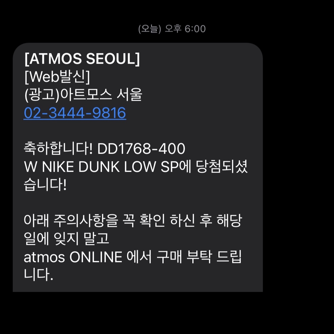 (W) Nike Dunk Low SP College Navy 착용 스타일 - 5