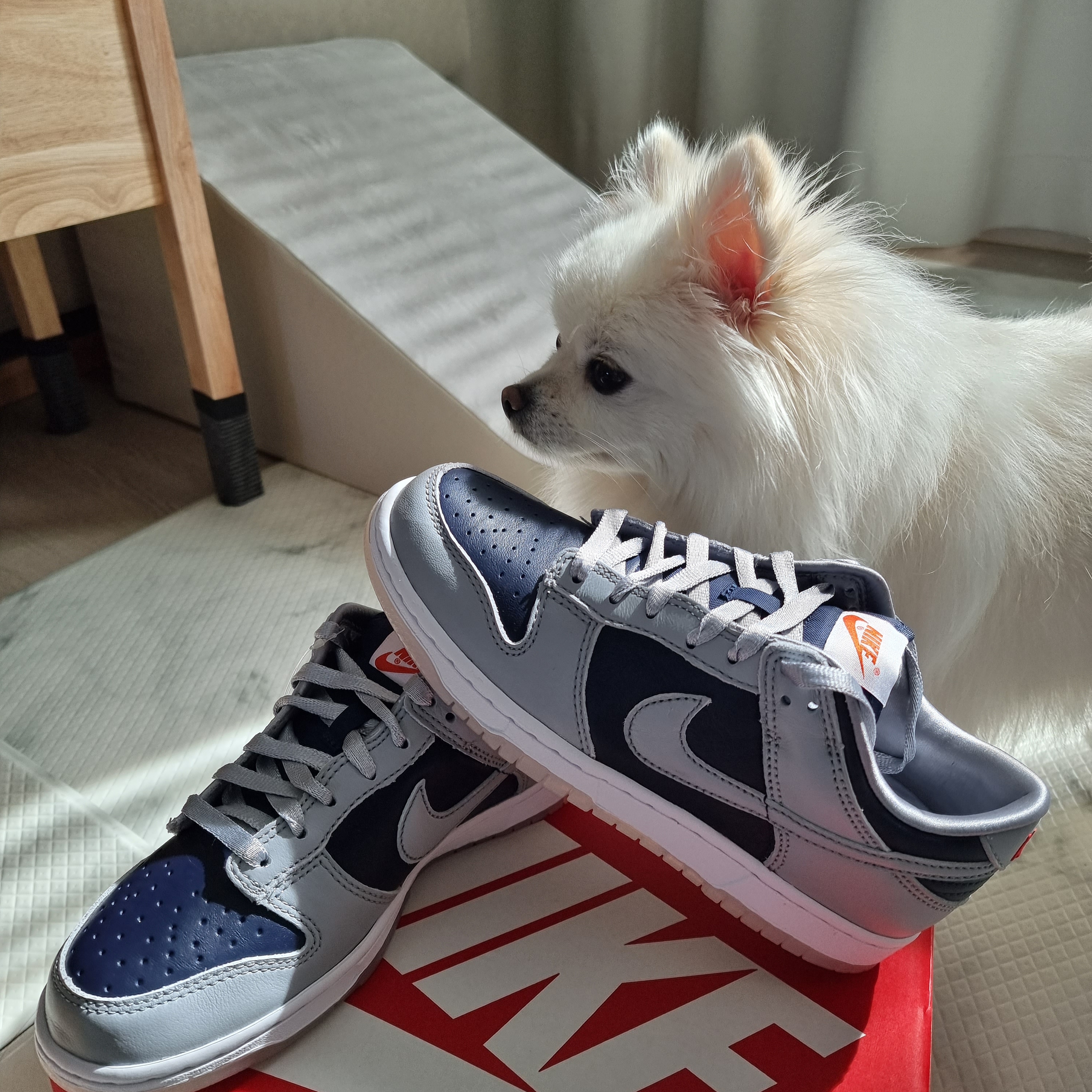 (W) Nike Dunk Low SP College Navy 착용 스타일
