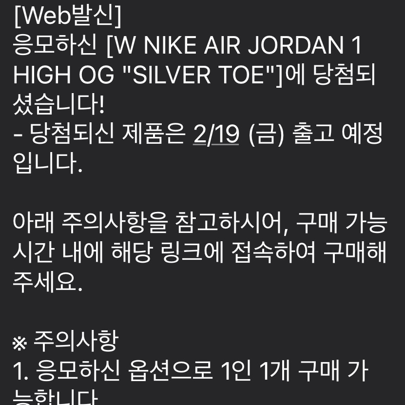 (W) Jordan 1 Retro High OG Silver Toe 착용 스타일 - 4