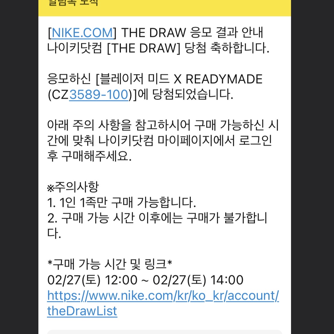 Nike x Readymade Blazer Mid White 착용 스타일 - 2