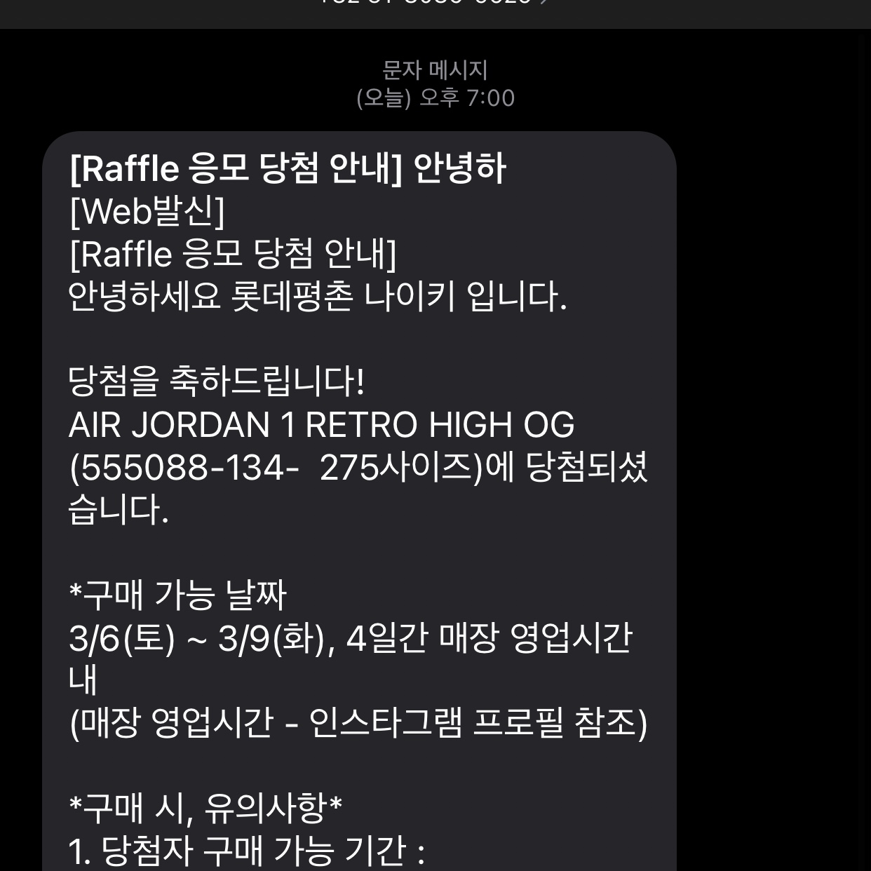 Jordan 1 Retro High OG University Blue 착용 스타일