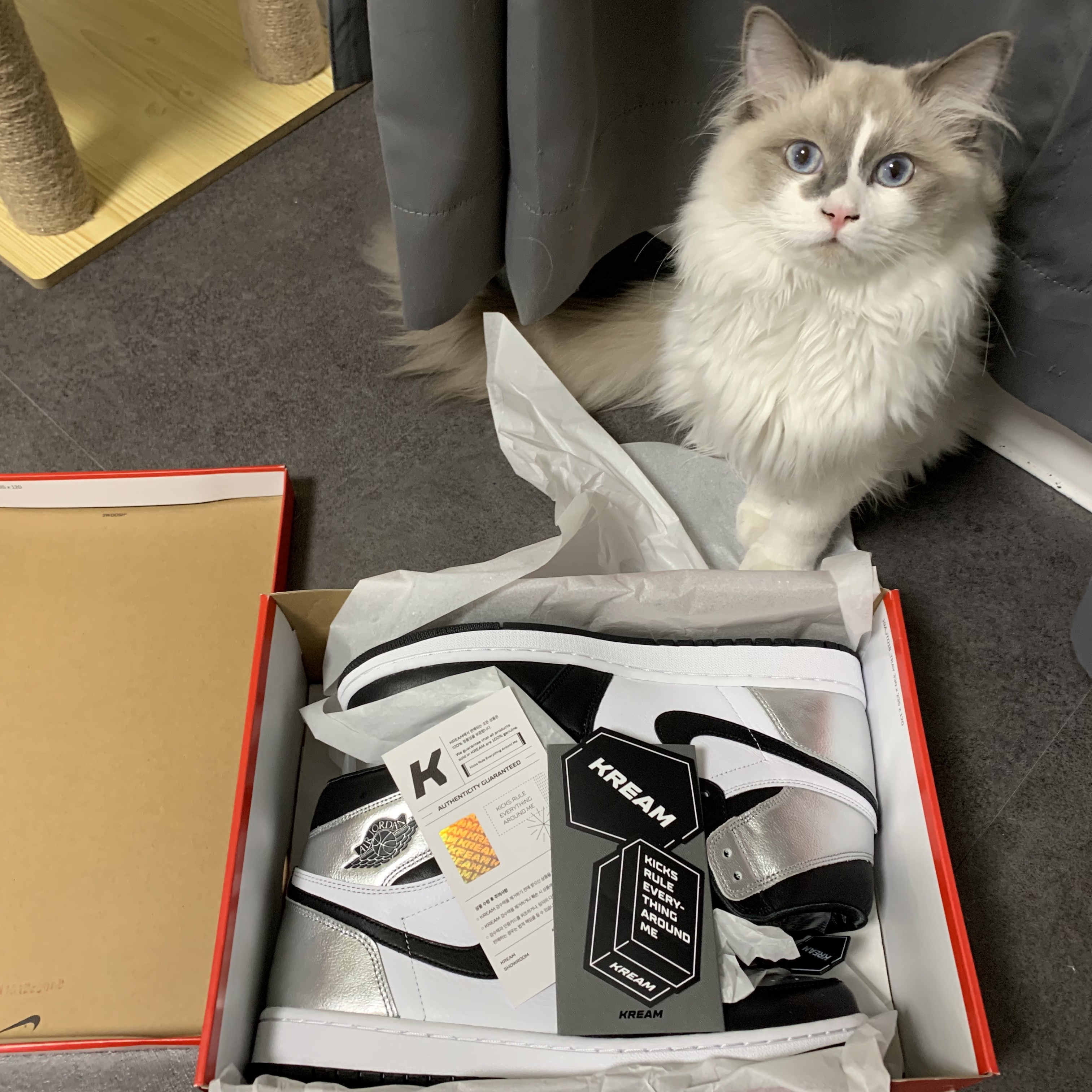 (W) Jordan 1 Retro High OG Silver Toe, Jordan 1 Retro High OG Gym Red 착용 스타일 - 1
