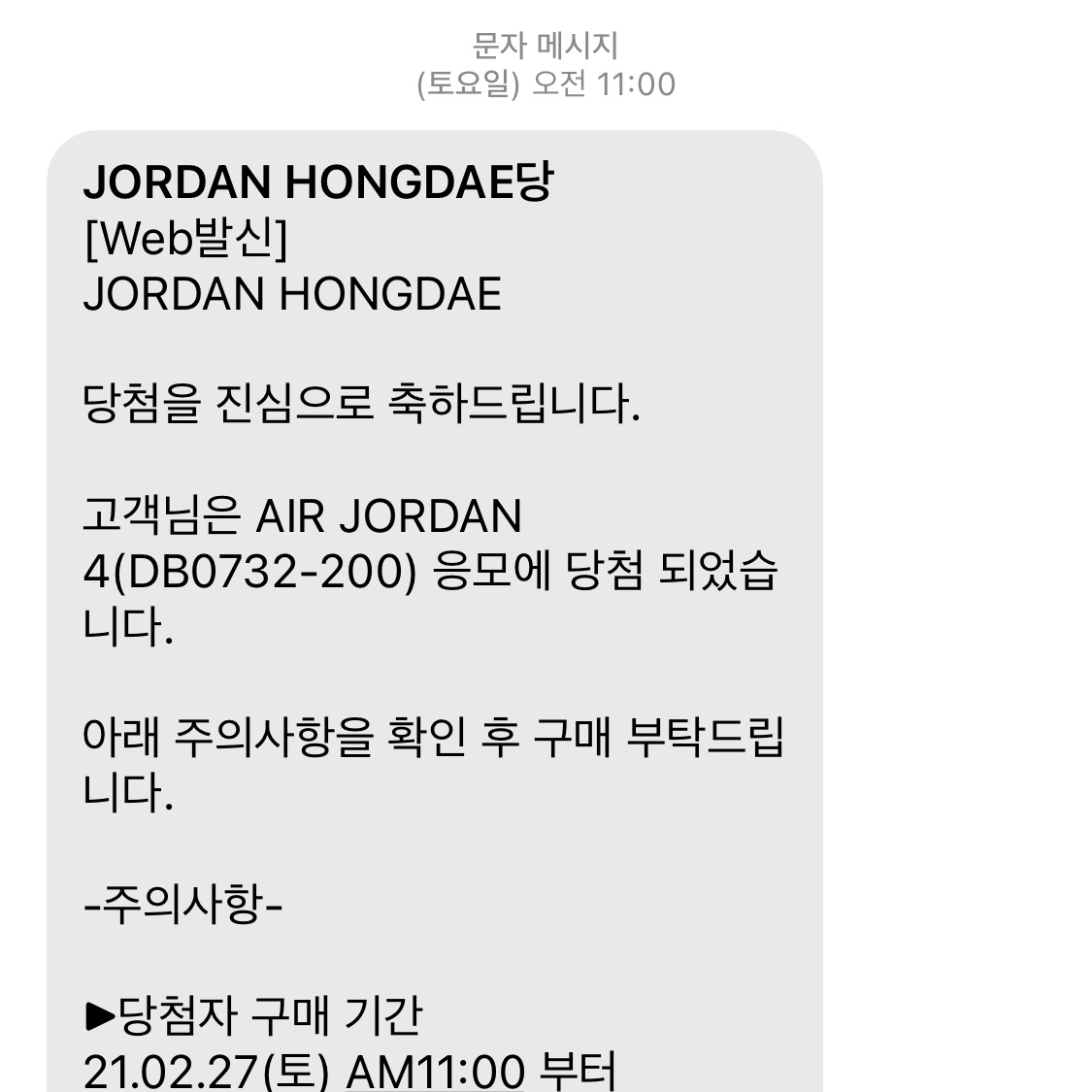 Jordan 4 Retro Taupe Haze 착용 스타일