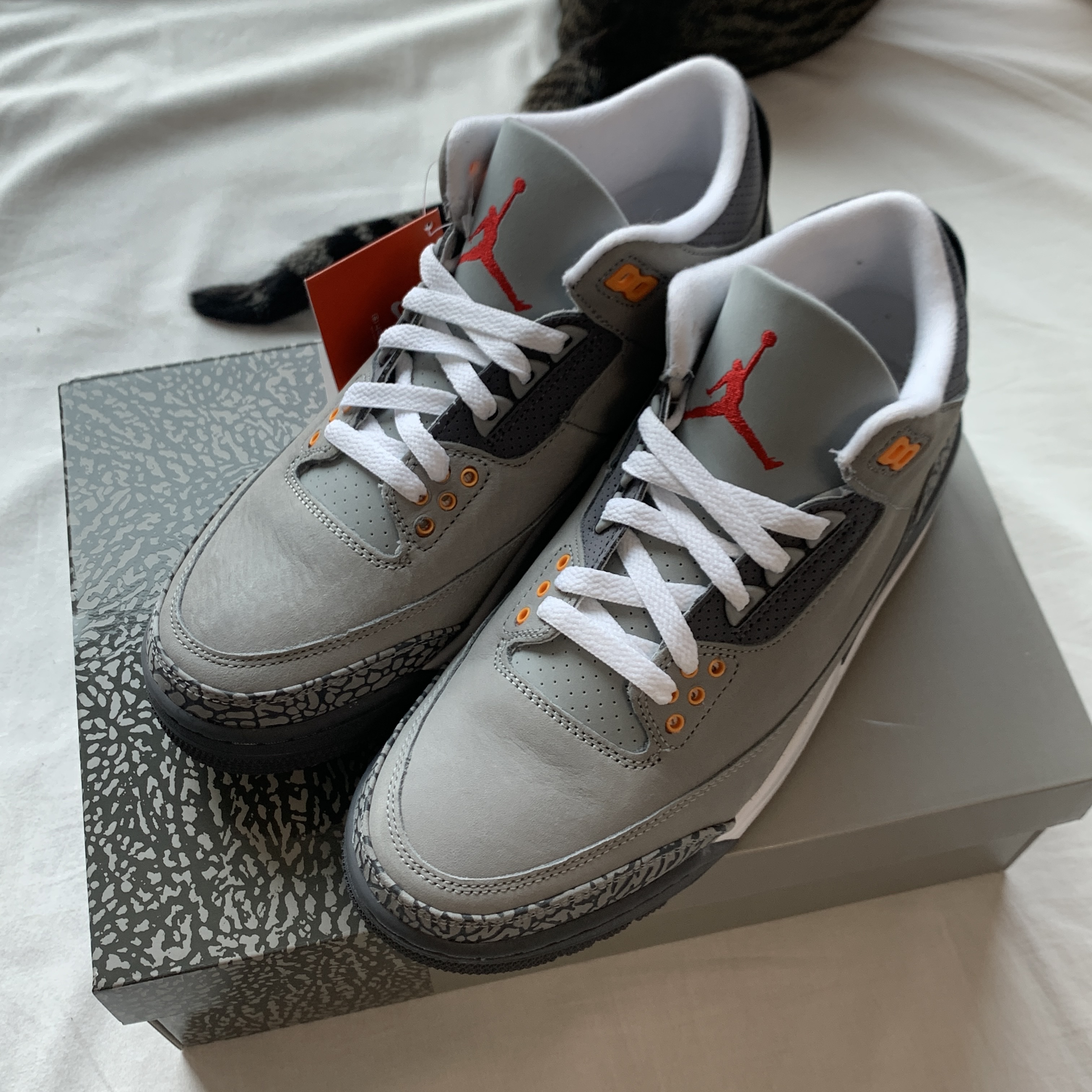 Jordan 3 Retro Cool Grey 착용 스타일 - 2