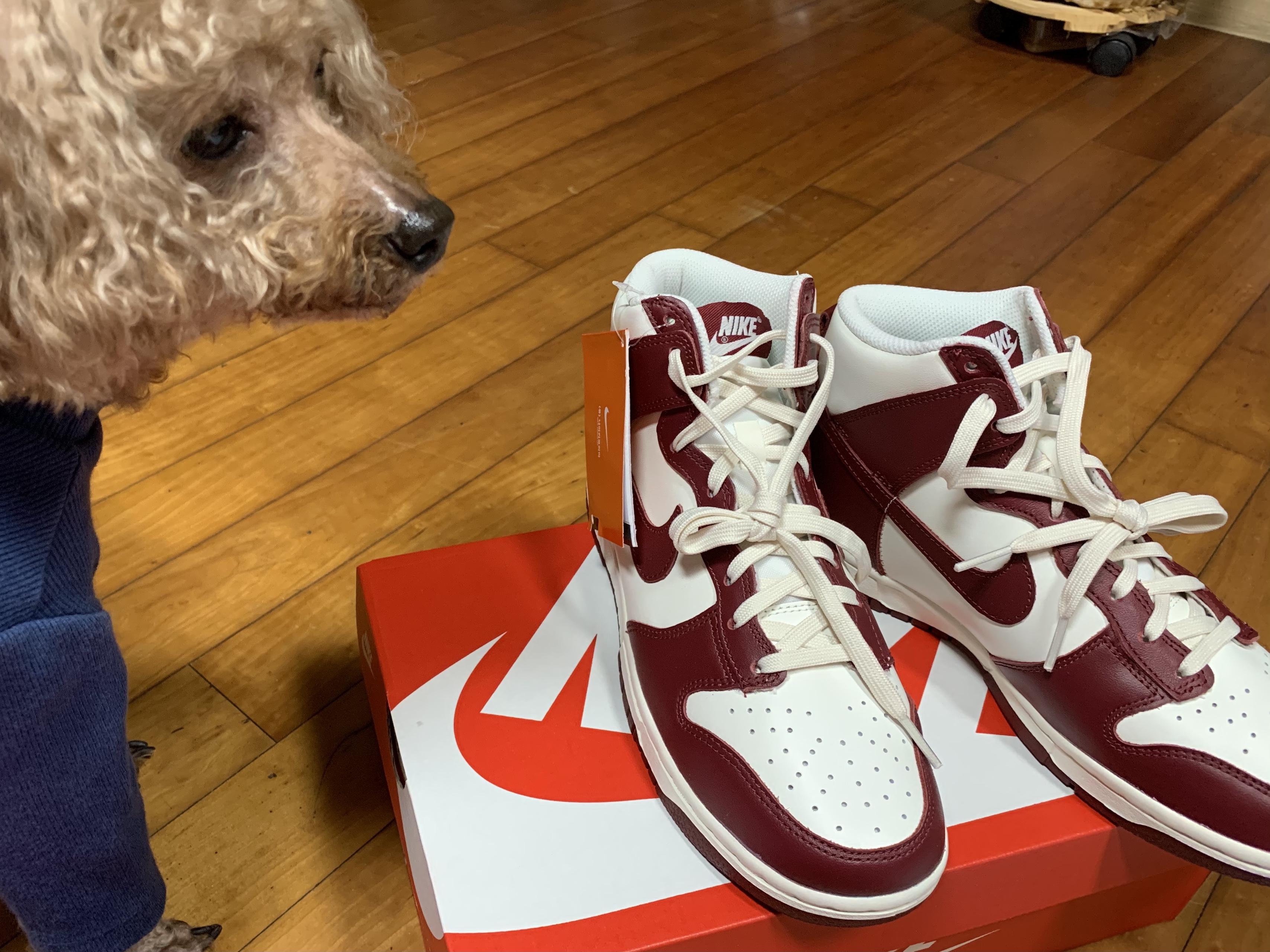 (W) Nike Dunk High Team Red 착용 스타일 - 2