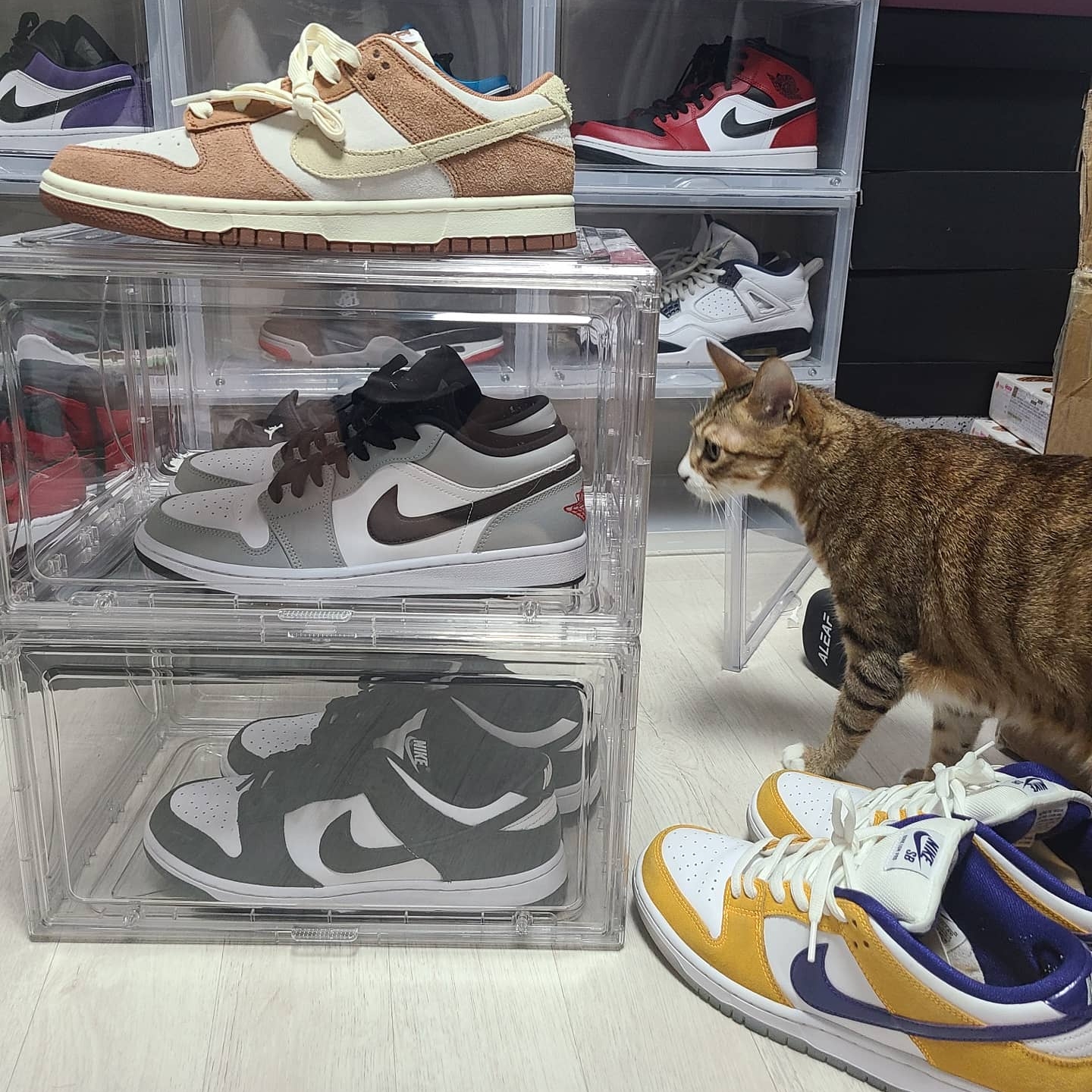Nike Dunk Low Retro Black, Jordan 1 Low Light Smoke Grey 착용 스타일