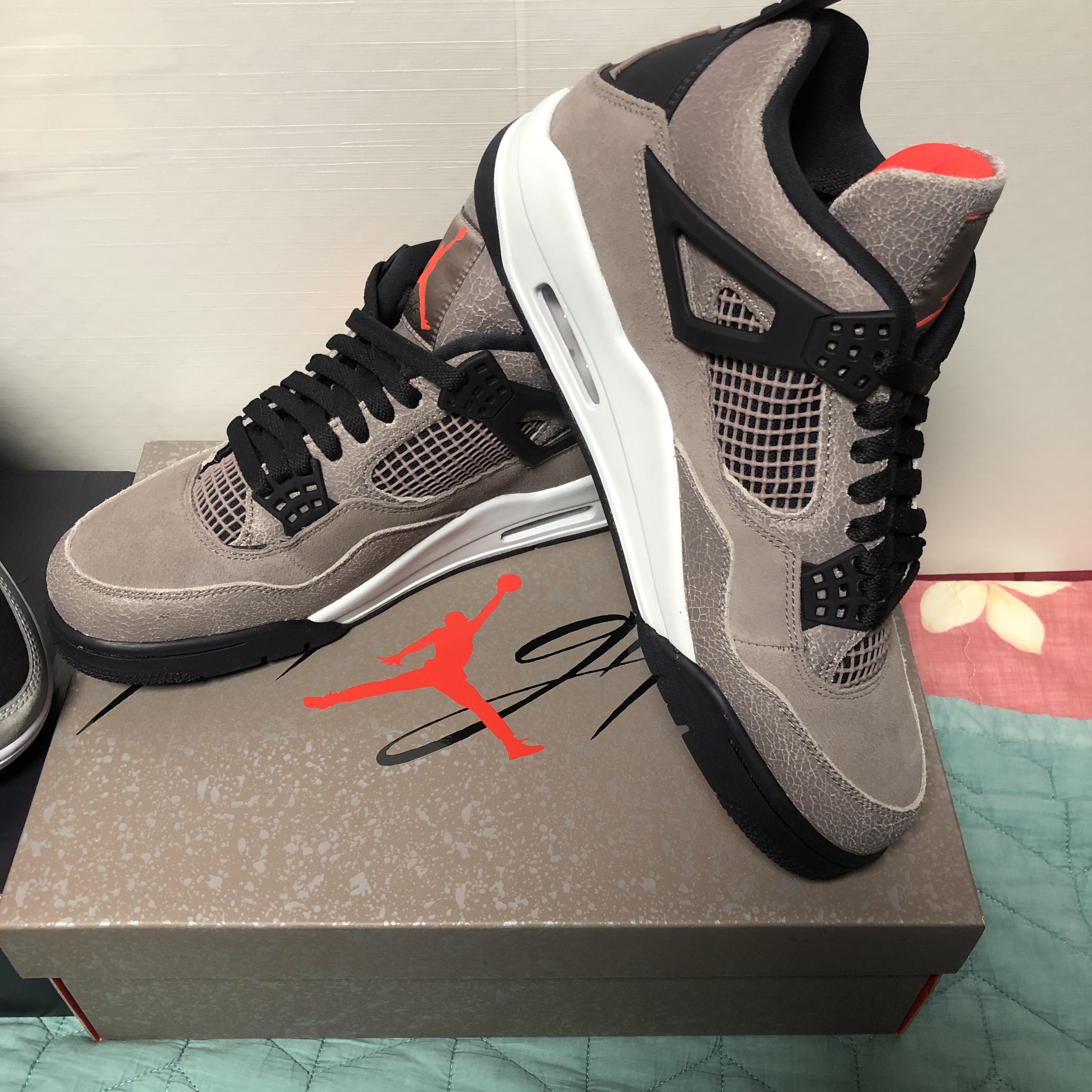 Nike Air Force 1 B Silver Snake, Jordan 4 Retro Taupe Haze 착용 스타일 - 3