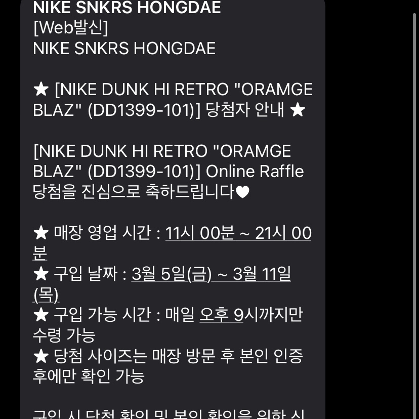 Nike Dunk High Retro Orange Blaze 착용 스타일