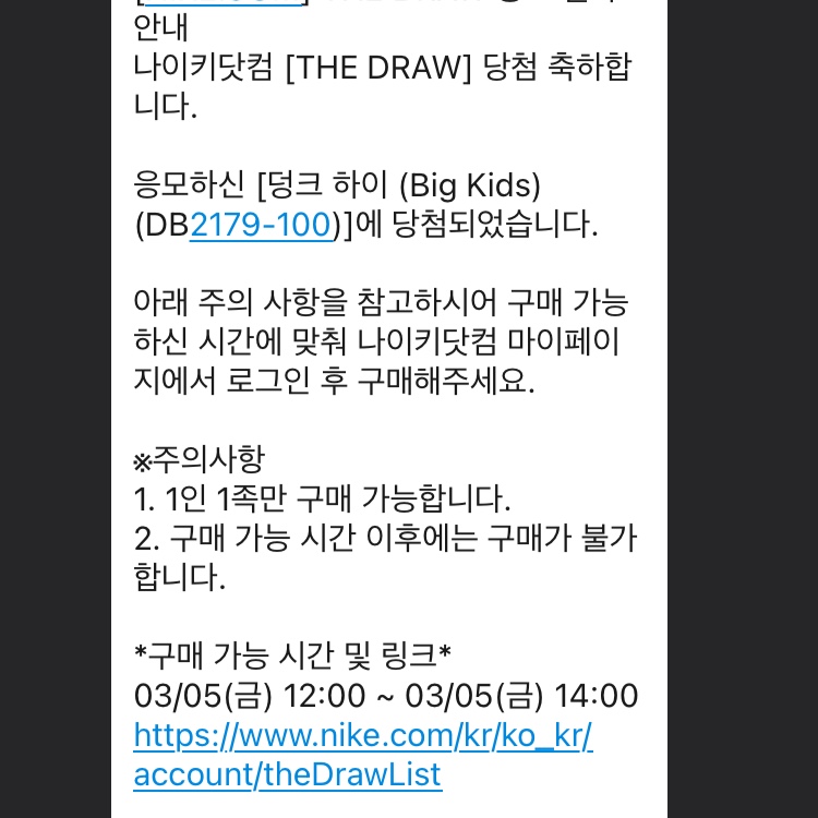 (GS) Nike Dunk High Orange Blaze 착용 스타일