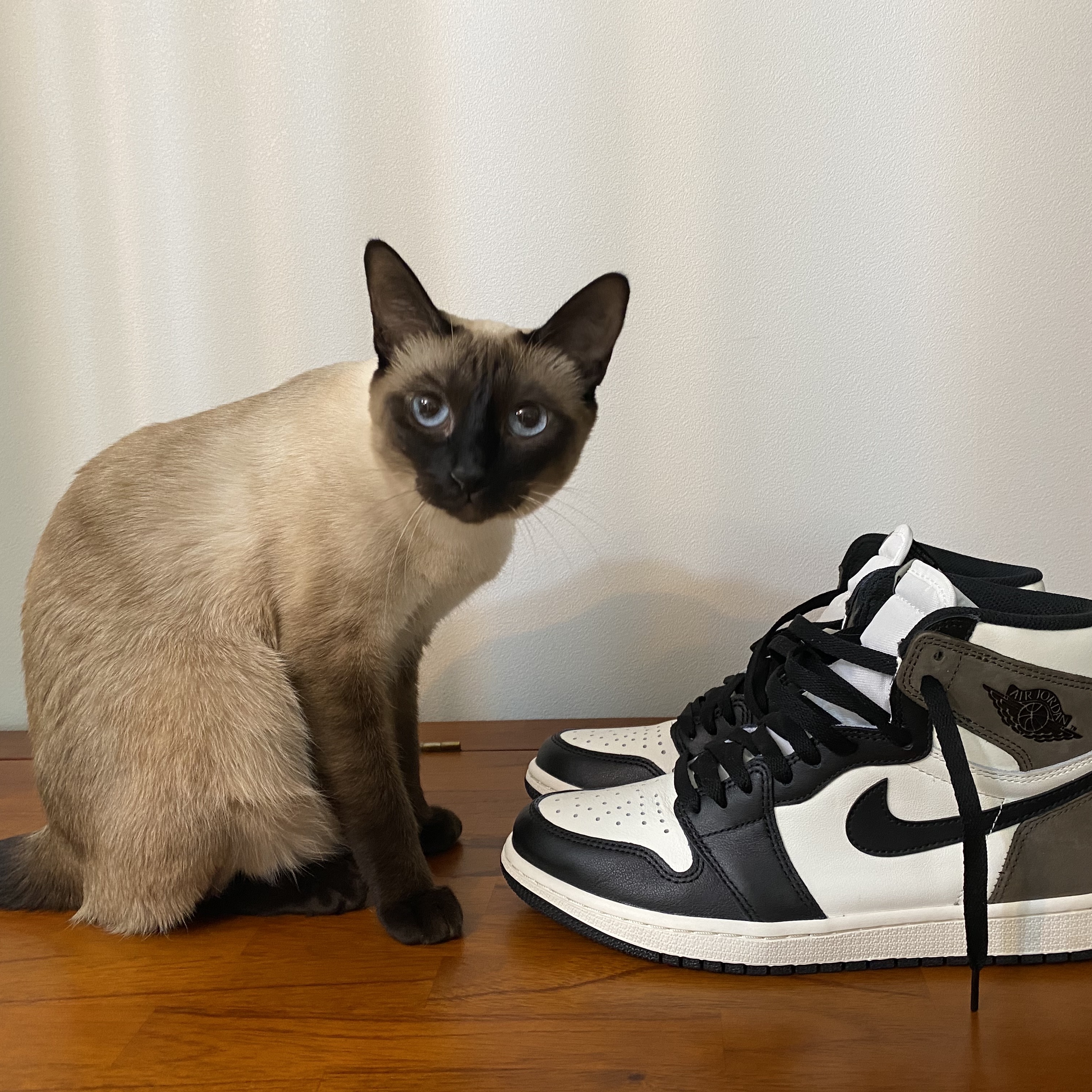 Jordan 1 Retro High OG Black Mocha 착용 스타일 - 1