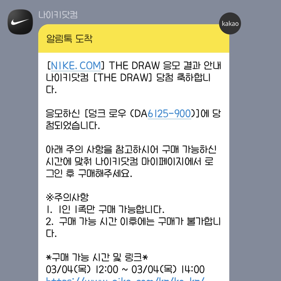 Nike Dunk Low SP City Market 착용 스타일
