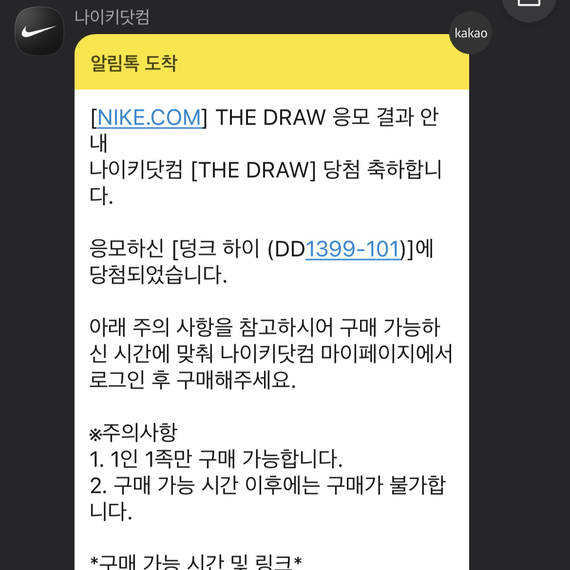 Nike Dunk High Retro Orange Blaze 착용 스타일