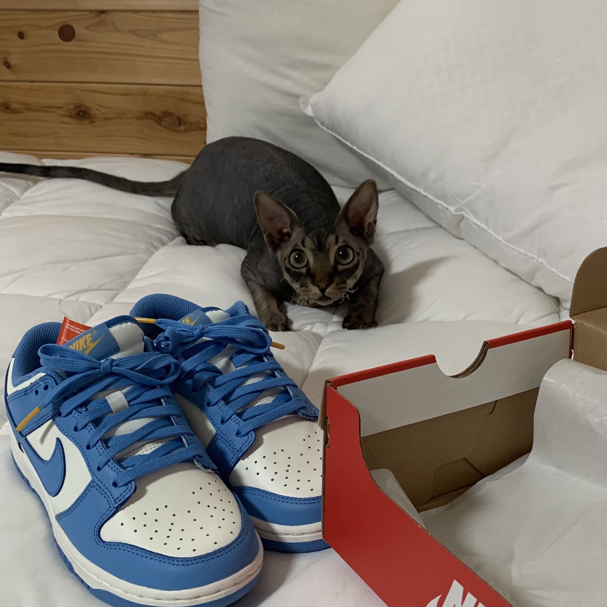 (W) Nike Dunk Low Coast 착용 스타일