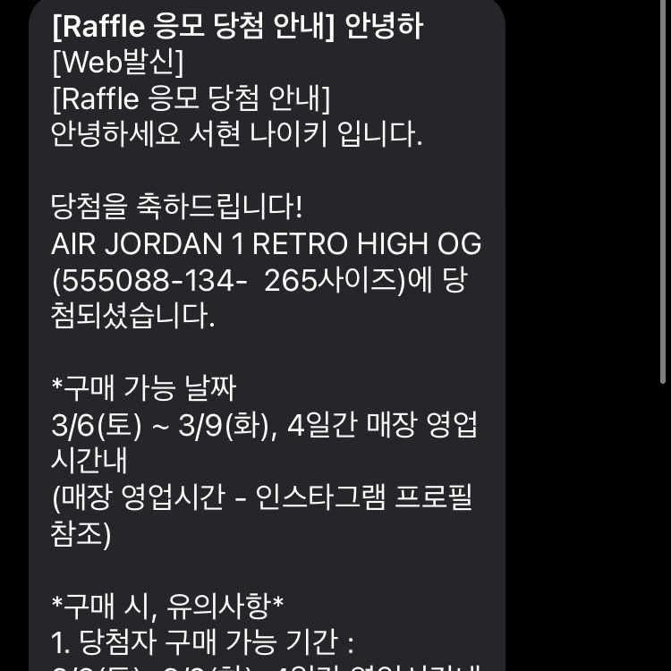Jordan 1 Retro High OG University Blue 착용 스타일