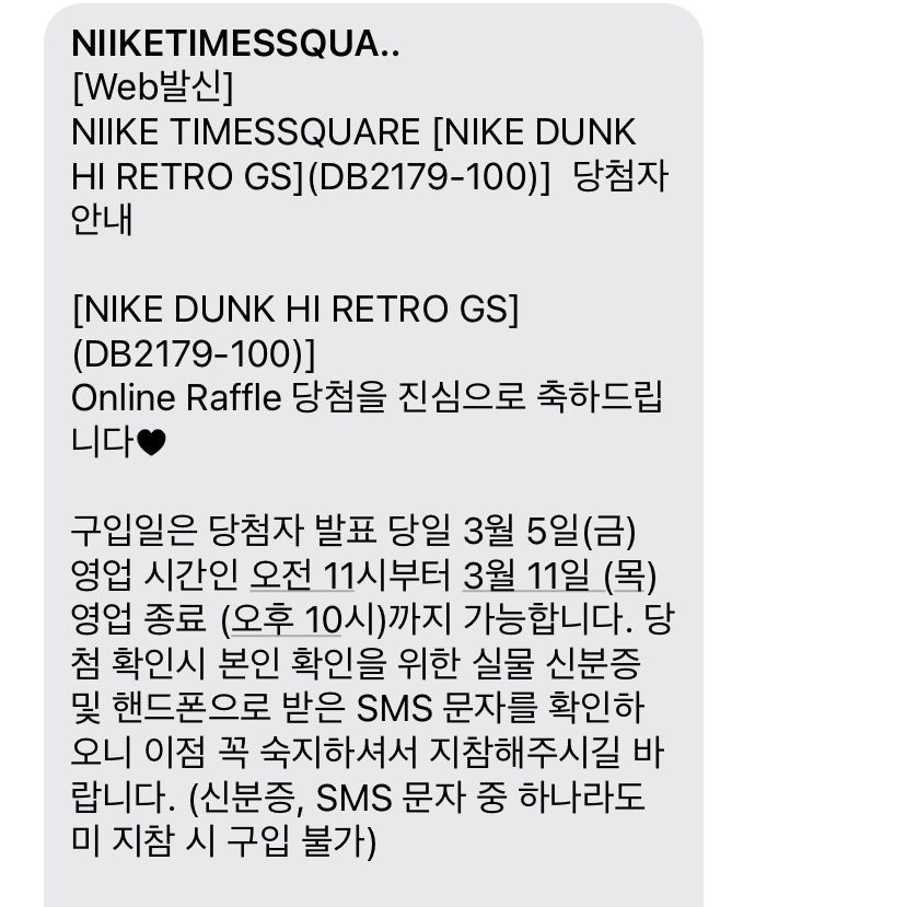 (GS) Nike Dunk High Orange Blaze 착용 스타일