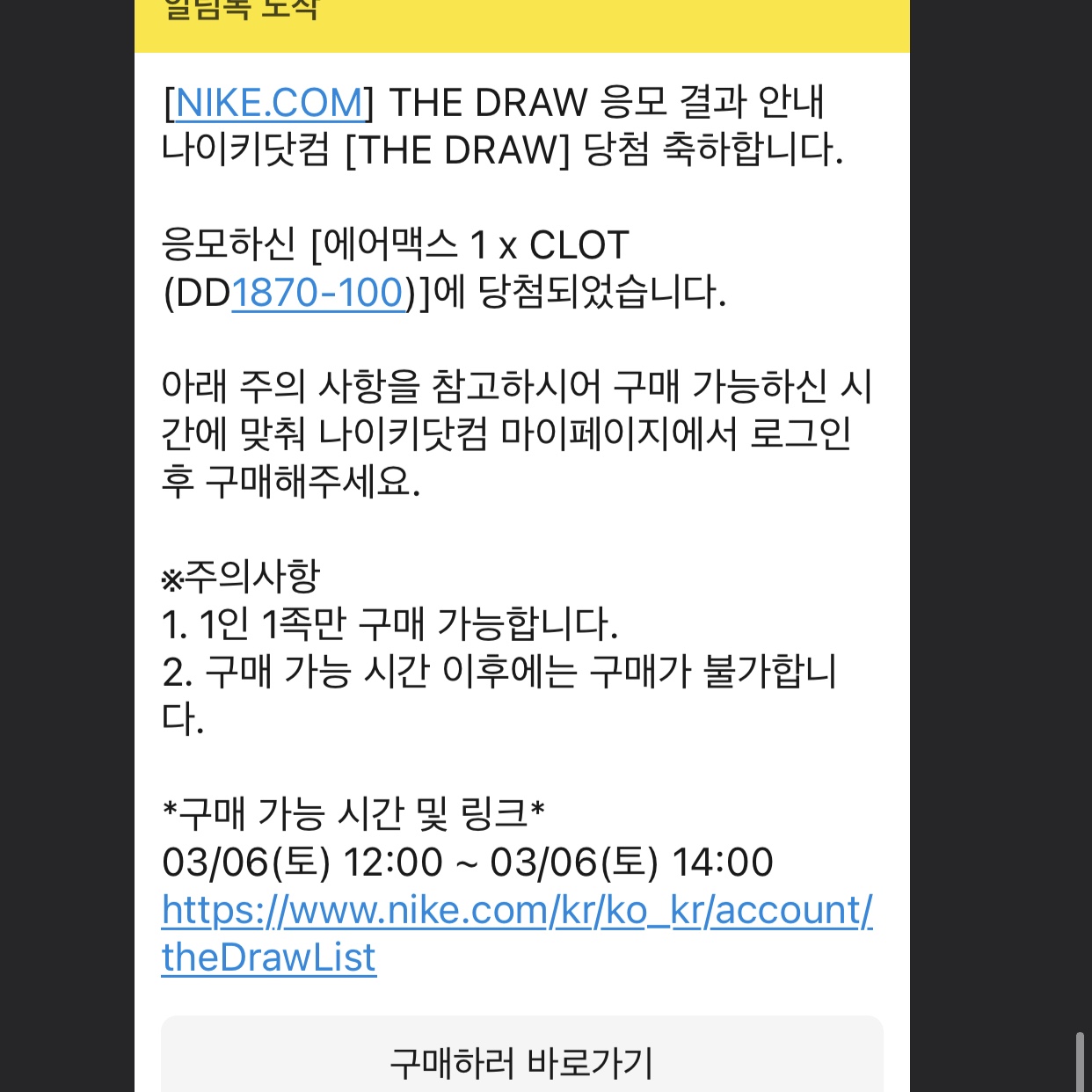 Nike x Clot Air Max 1 Net 착용 스타일