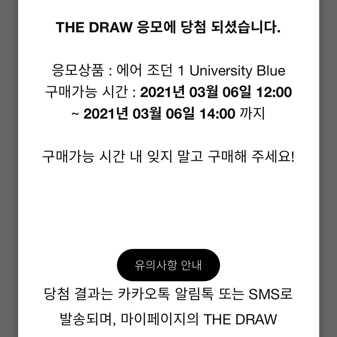 Jordan 1 Retro High OG University Blue 착용 스타일