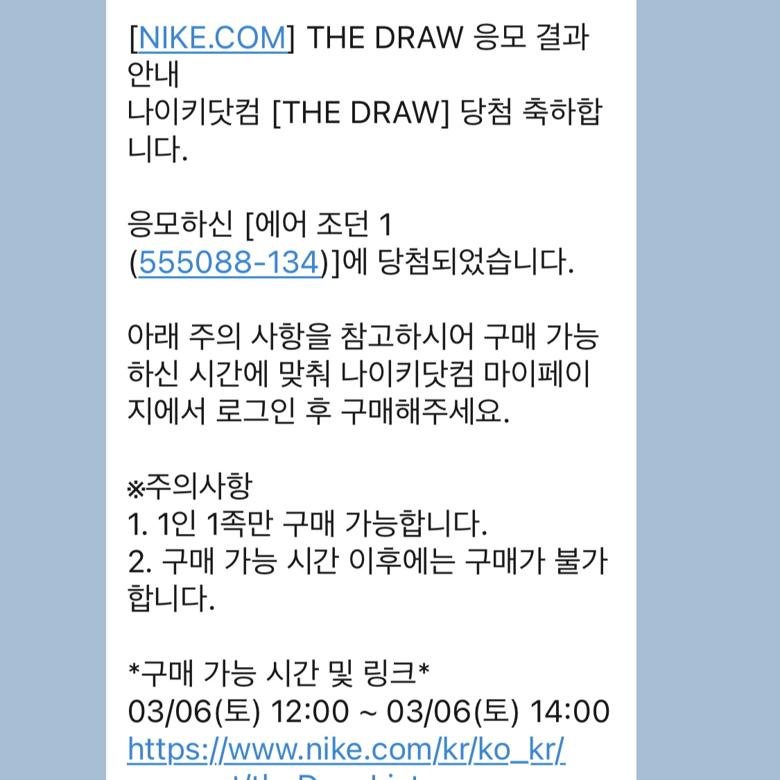 Jordan 1 Retro High OG University Blue 착용 스타일