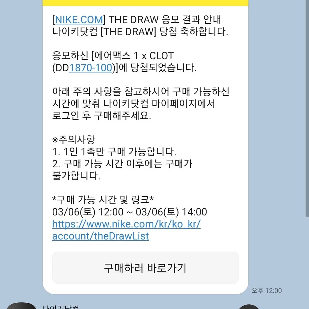 Nike x Clot Air Max 1 Net 착용 스타일