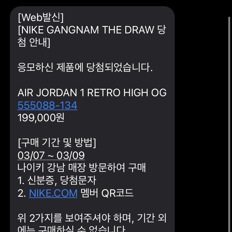 Jordan 1 Retro High OG University Blue 착용 스타일