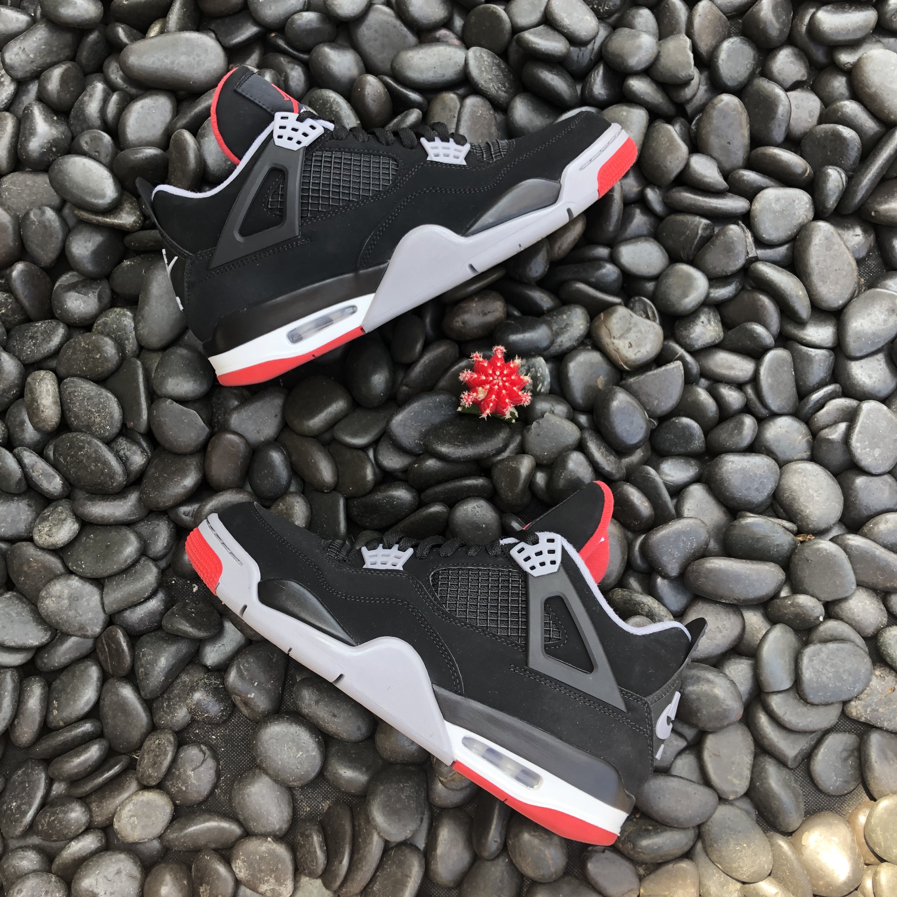 Jordan 4 Retro Bred 2019 착용 스타일
