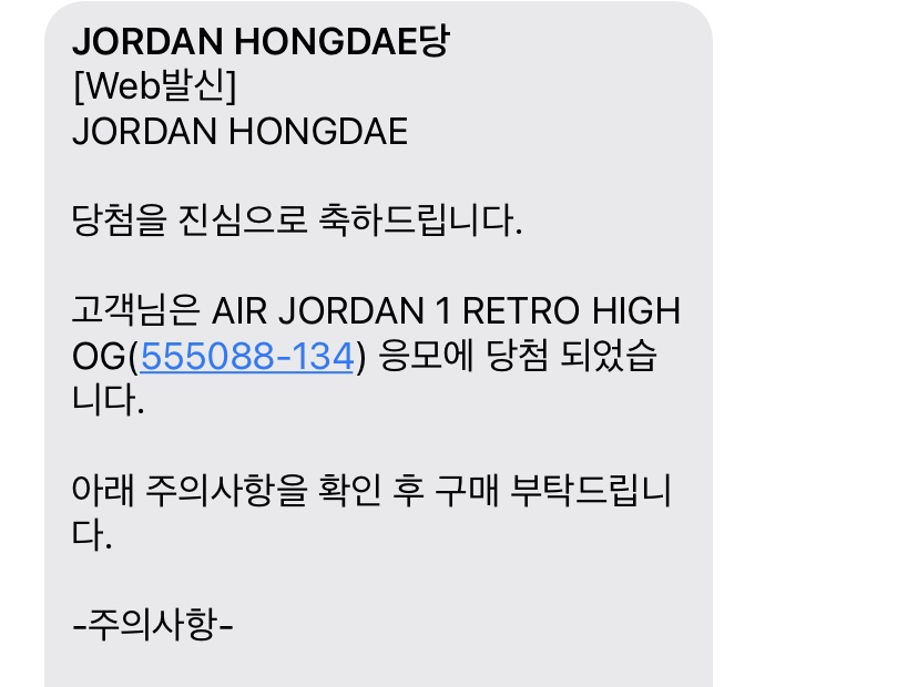 Jordan 1 Retro High OG University Blue 착용 스타일