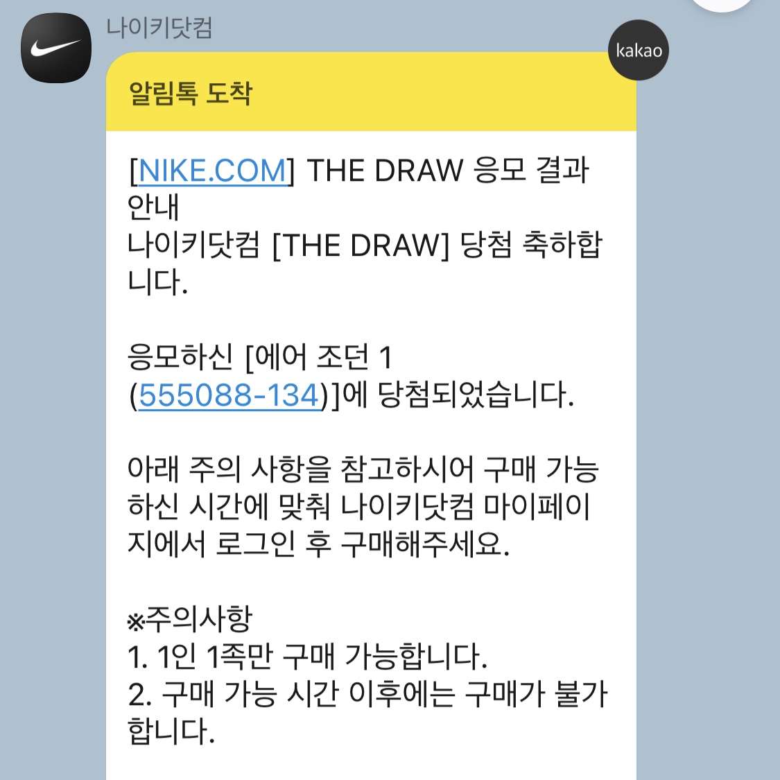 Jordan 1 Retro High OG University Blue 착용 스타일 - 4