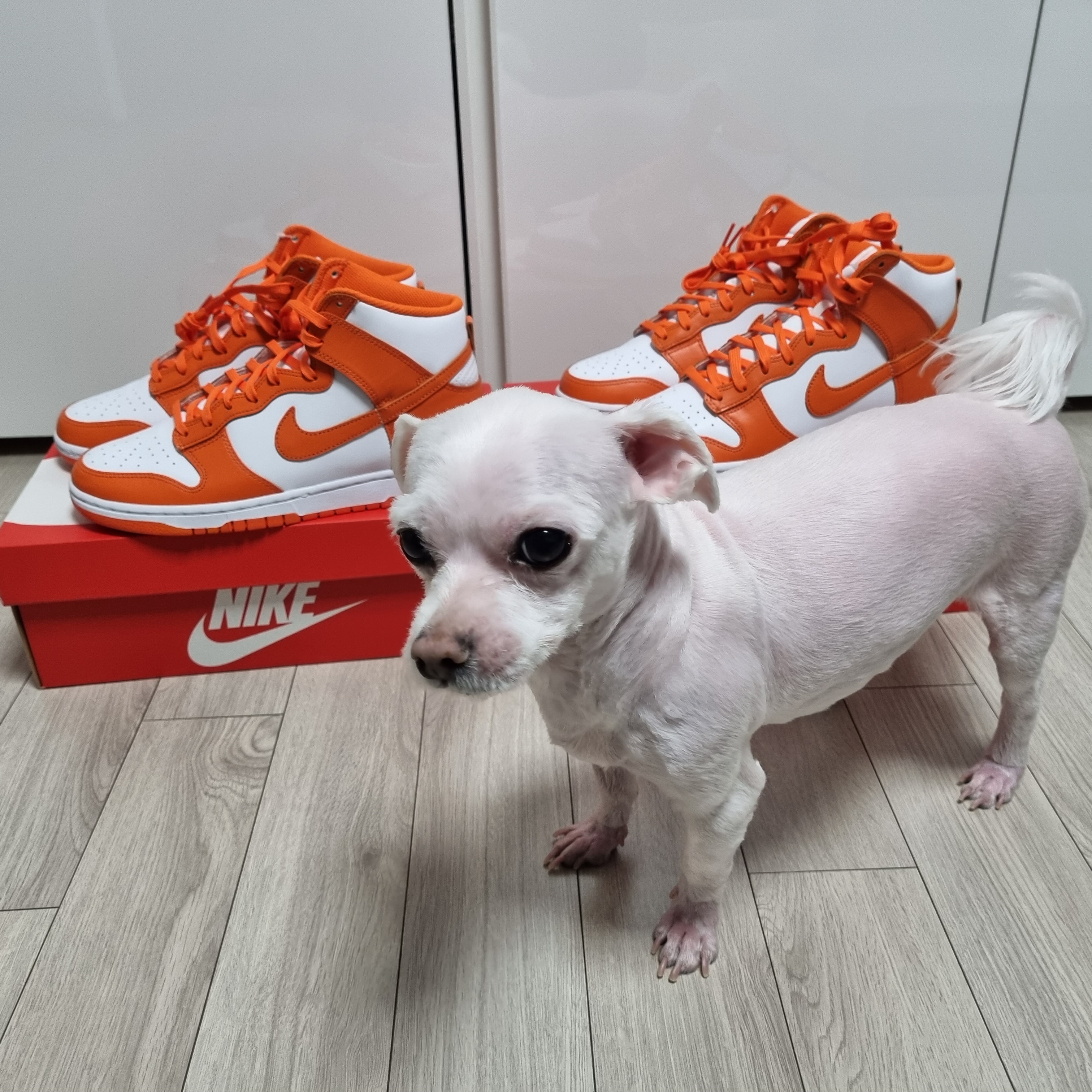 Nike Dunk High Retro Orange Blaze 착용 스타일