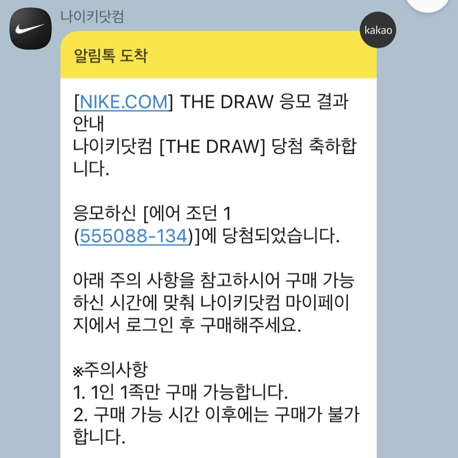 Jordan 1 Retro High OG University Blue 착용 스타일