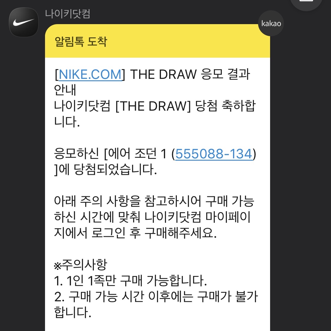 Jordan 1 Retro High OG University Blue 착용 스타일