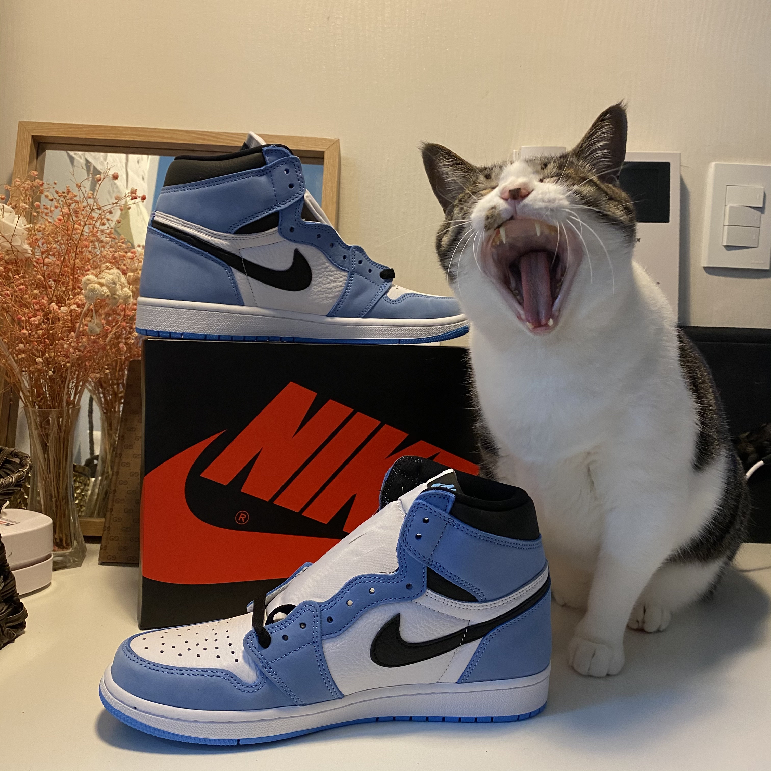 Jordan 1 Retro High OG University Blue 착용 스타일 - 1
