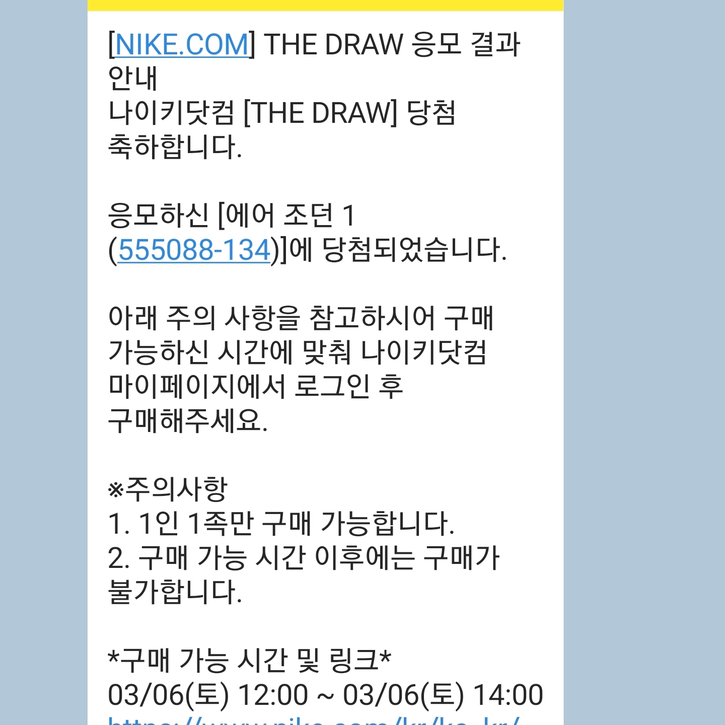 Jordan 1 Retro High OG University Blue 착용 스타일