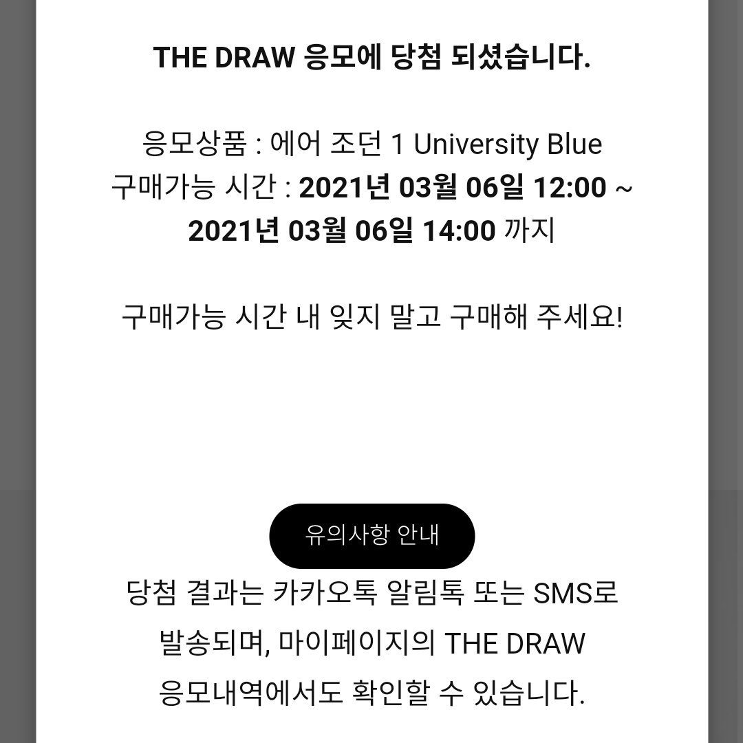 Jordan 1 Retro High OG University Blue 착용 스타일