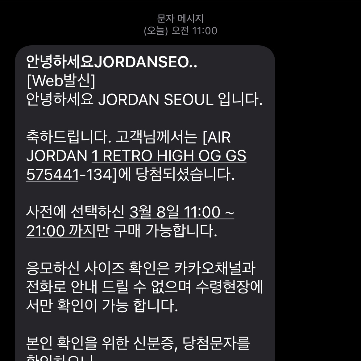 (GS) Jordan 1 Retro High OG University Blue 착용 스타일