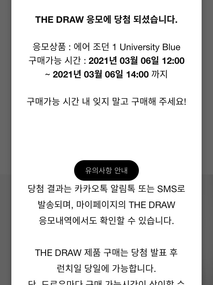 Jordan 1 Retro High OG University Blue 착용 스타일