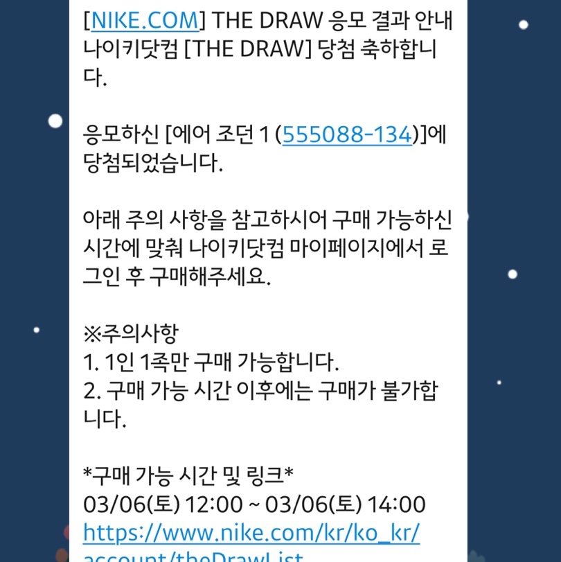 Jordan 1 Retro High OG University Blue 착용 스타일