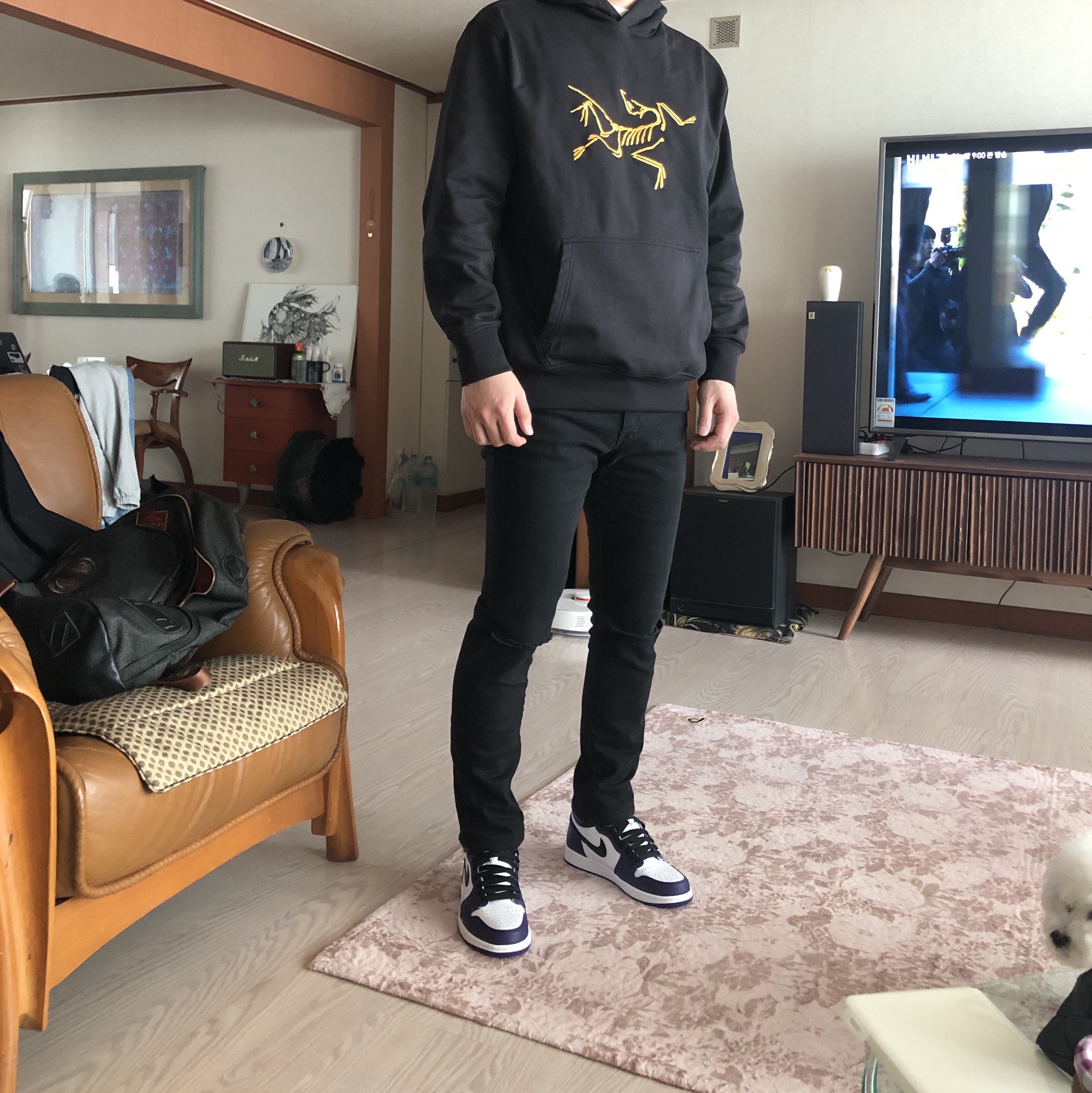 Jordan 1 Retro High OG Court Purple 2020, Palace x Arc'teryx Hood Black - 20FW 착용 스타일
