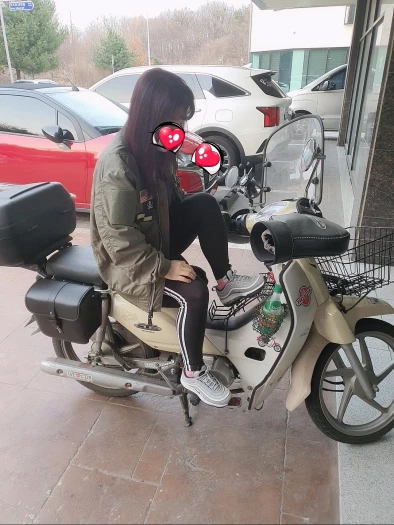 스타일 카드