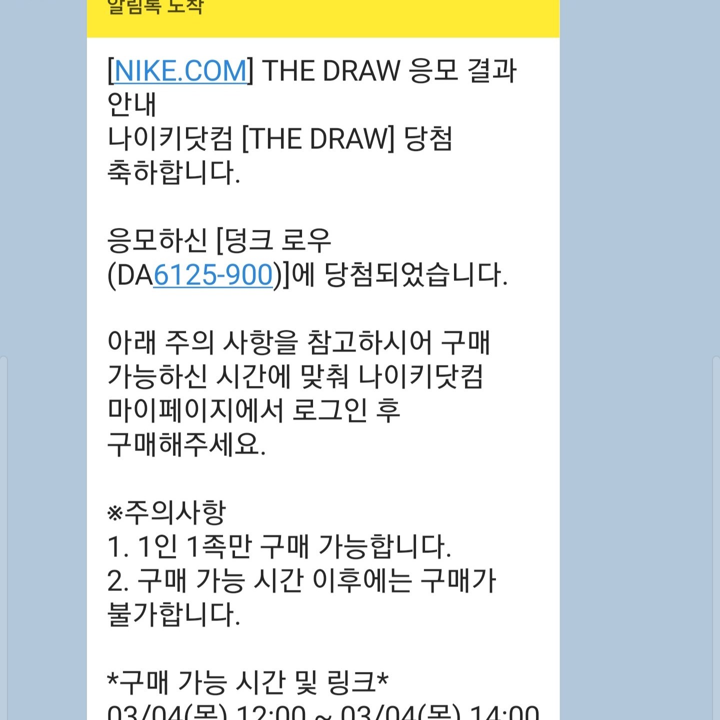 Nike Dunk Low SP City Market 착용 스타일 - 1