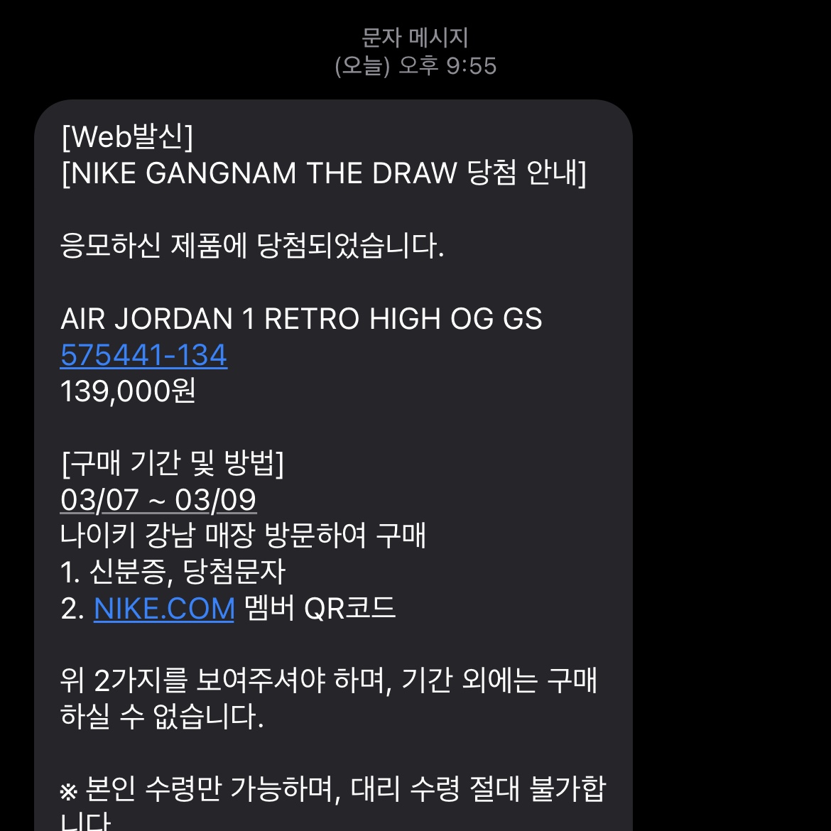 (GS) Jordan 1 Retro High OG University Blue 착용 스타일
