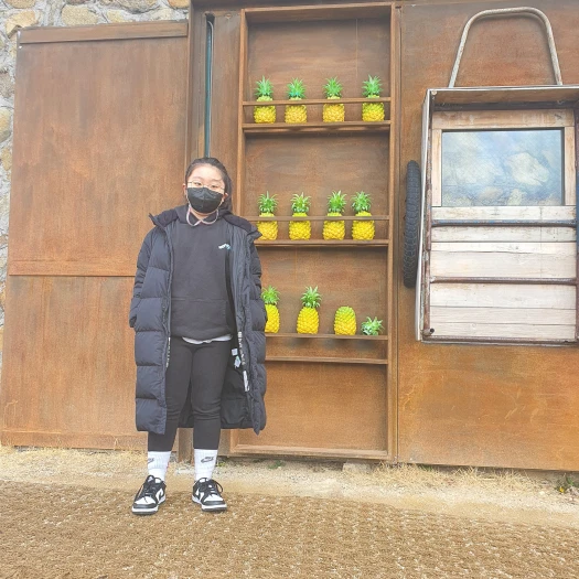 스타일 카드