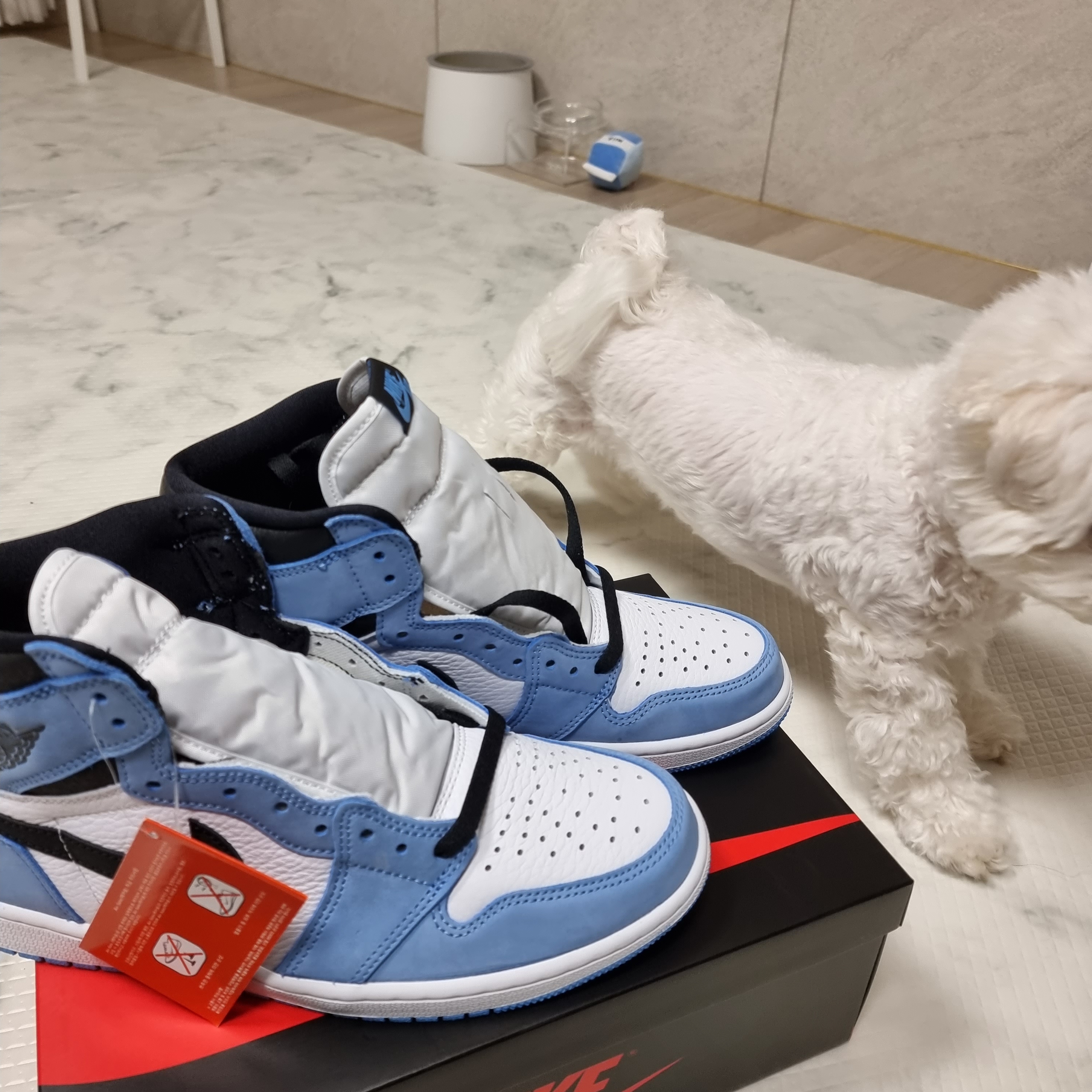 Jordan 1 Retro High OG University Blue 착용 스타일 - 2