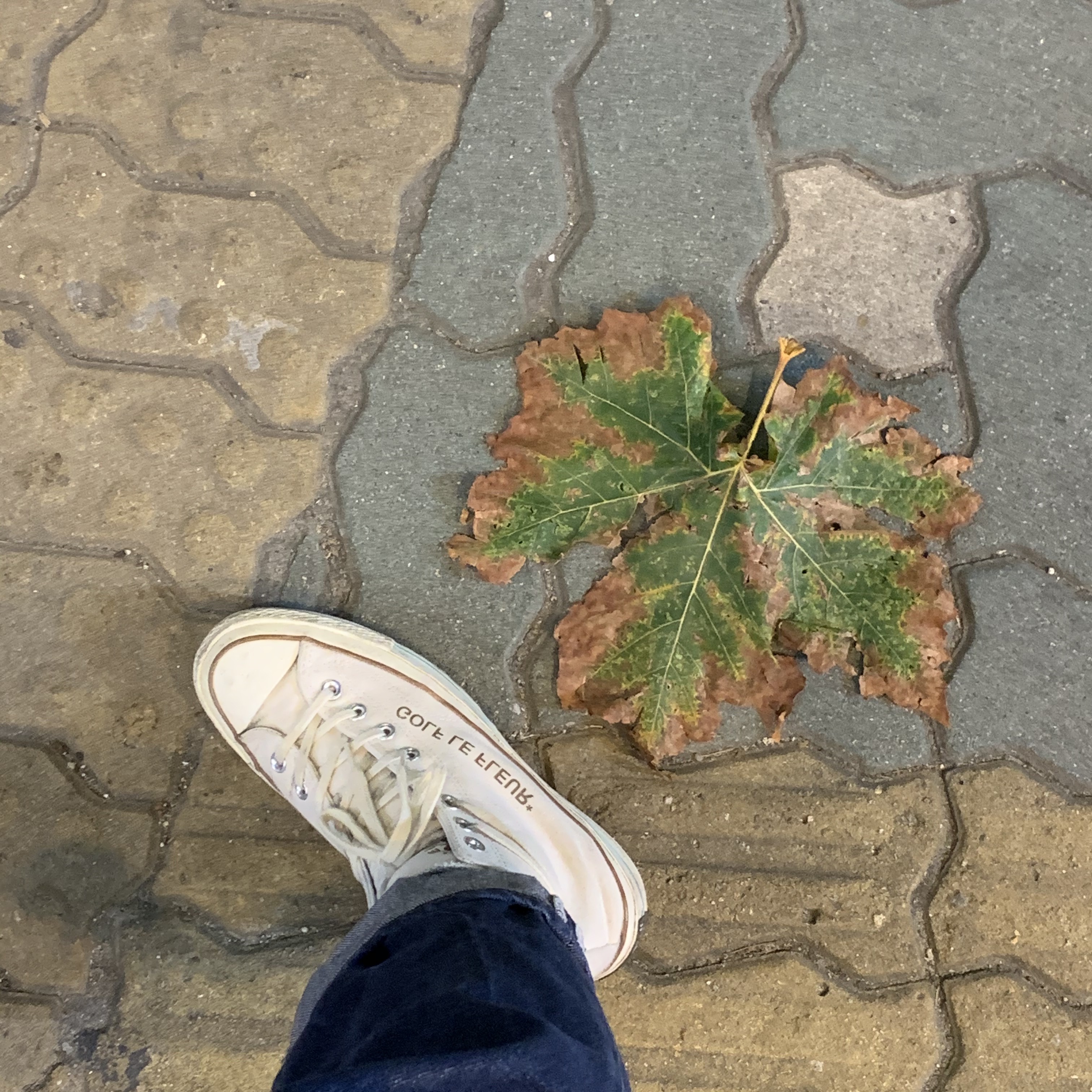 Converse x Golf le Fleur Chuck 70 Hi Parchment 착용 스타일