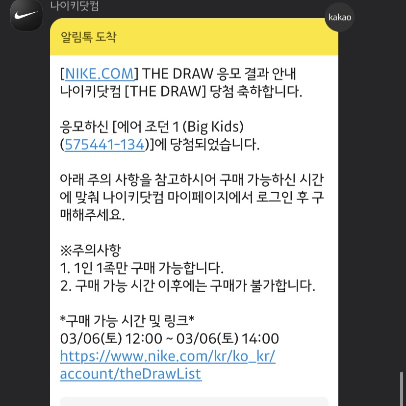 (GS) Jordan 1 Retro High OG University Blue 착용 스타일 - 3