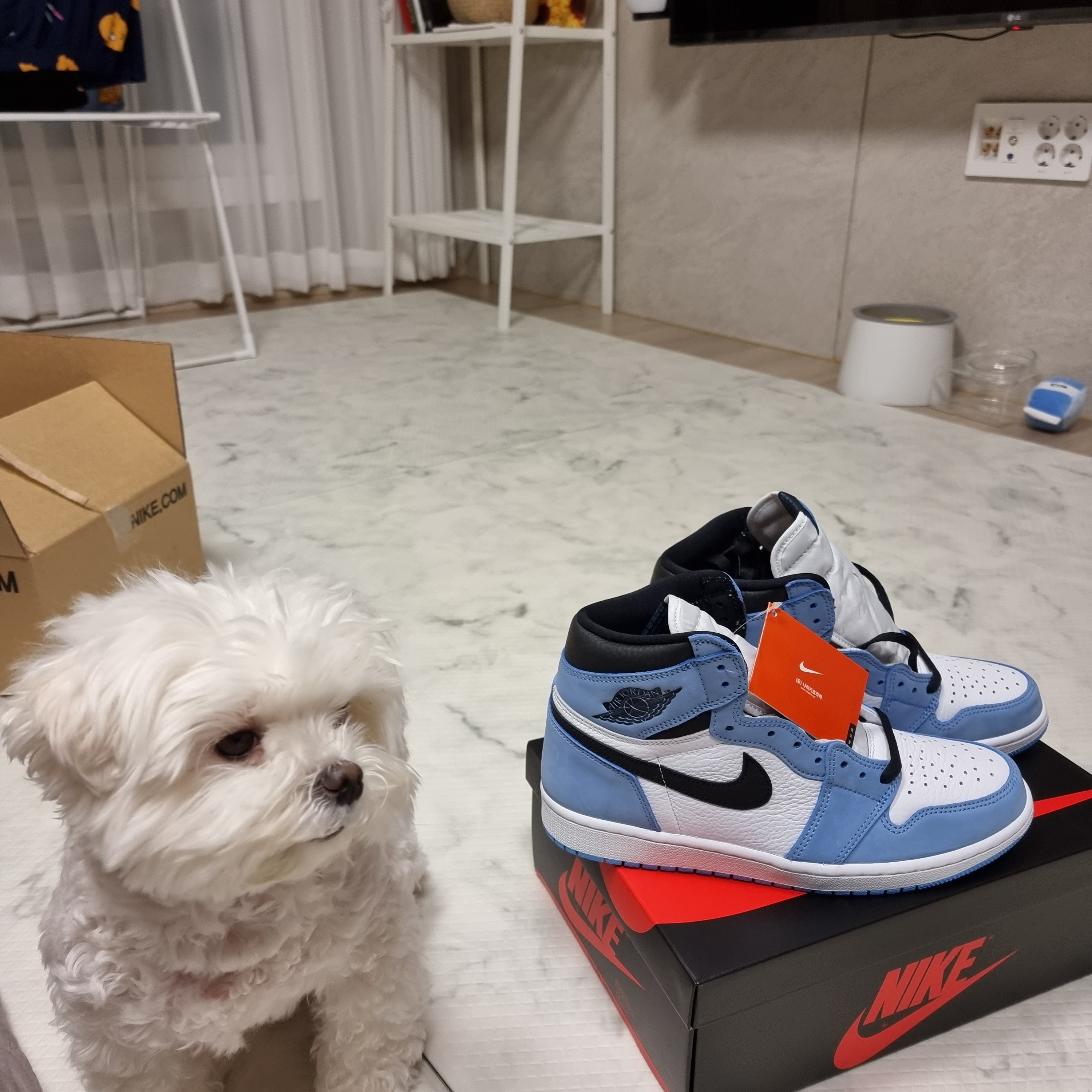 Jordan 1 Retro High OG University Blue 착용 스타일 - 1