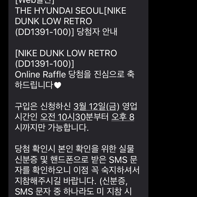 Nike Dunk Low Retro Black 착용 스타일