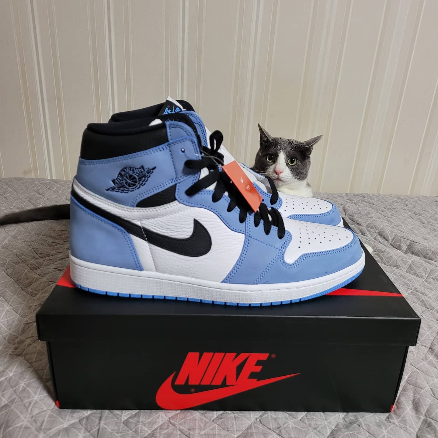 Jordan 1 Retro High OG University Blue 착용 스타일