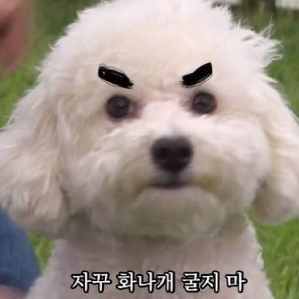 KREAM 프로필 이미지