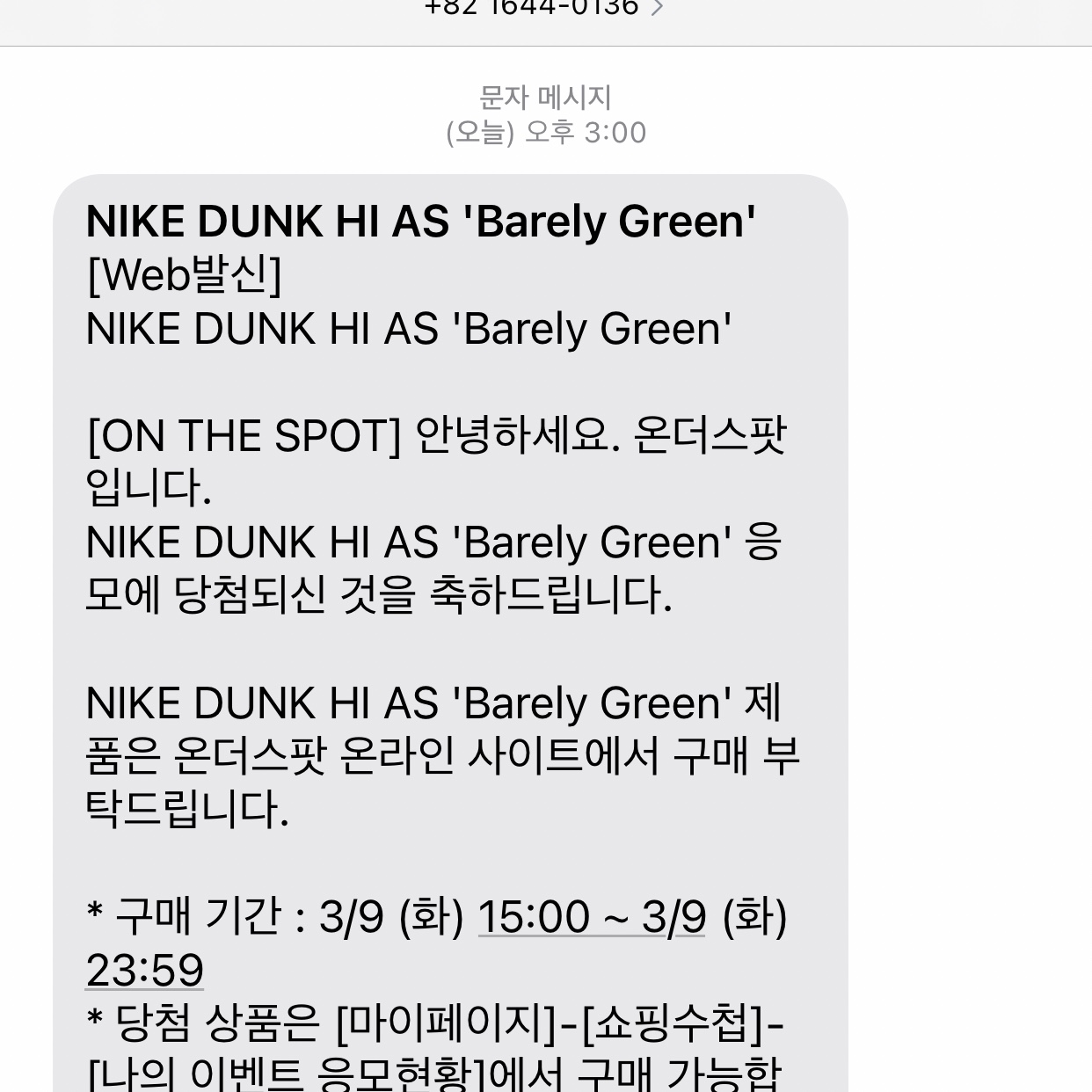 Nike Dunk High Barely Green 착용 스타일